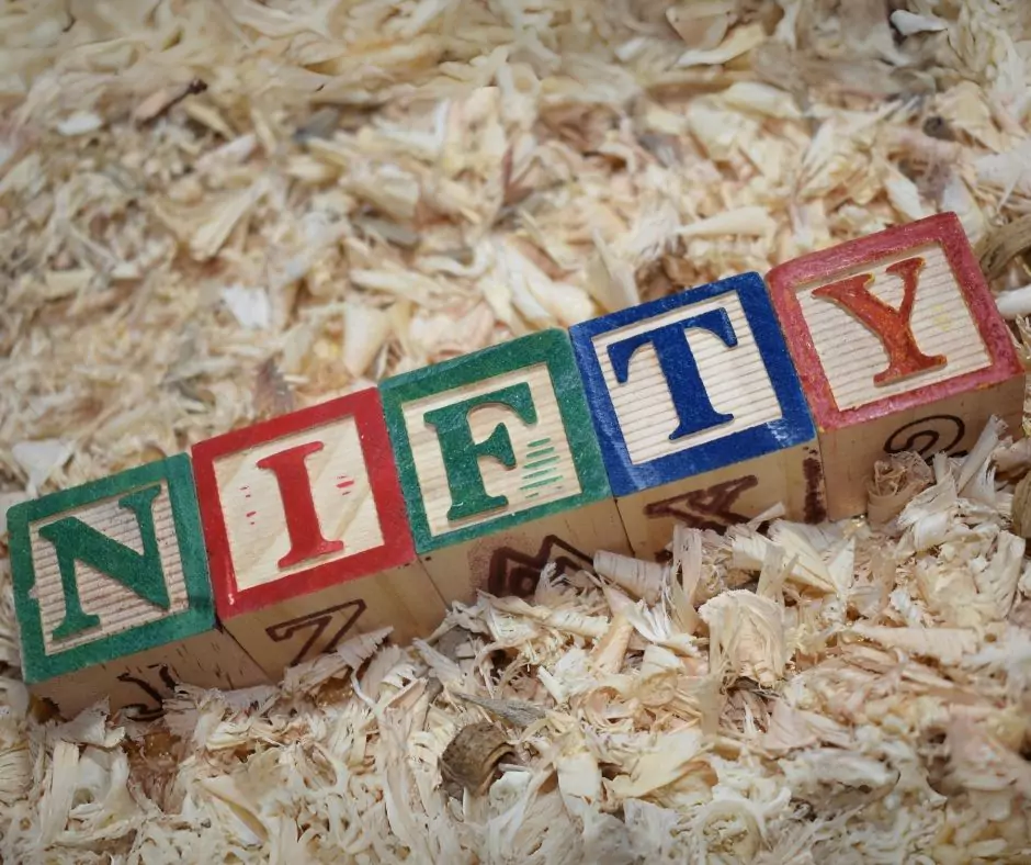 Badania NIFTY w ciąży bliźniaczej - blog helloskarbie.pl