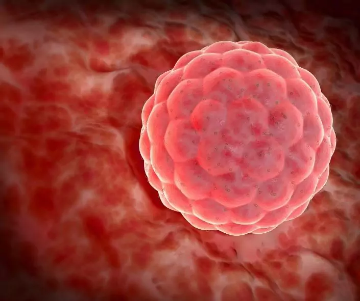 Implantacja zarodka - wtedy zaczyna się ciąża - blog helloskarbie.pl