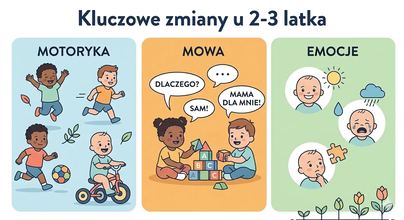 Kluczowe zmiany w rozwoju 2-3 latka.